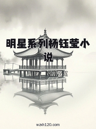 明星系列杨钰莹小说