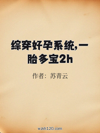 综穿好孕系统,一胎多宝2h