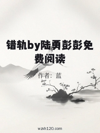 错轨by陆勇彭彭免费阅读