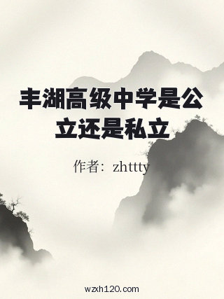 丰湖高级中学是公立还是私立