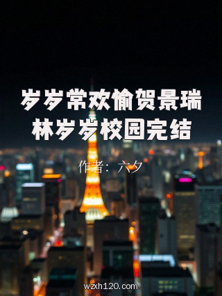 岁岁常欢愉贺景瑞林岁岁校园完结