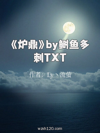 《炉鼎》by鲥鱼多刺TXT