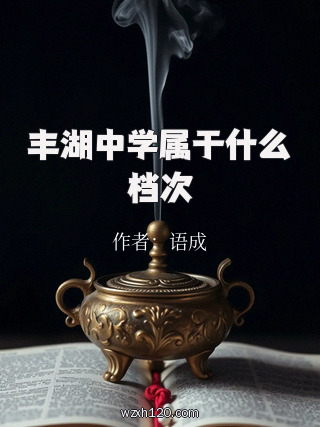 丰湖中学属于什么档次