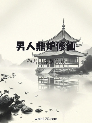 男人鼎炉修仙