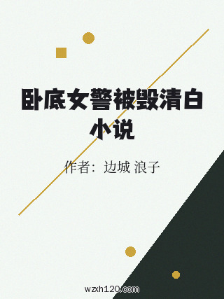 卧底女警被毁清白小说