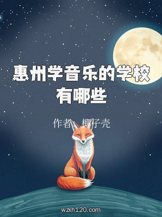 惠州学音乐的学校有哪些