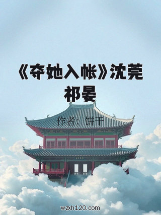 《夺她入帐》沈莞祁晏
