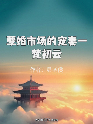 孽婚市场的宠妻一梵初云