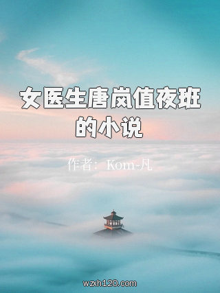 女医生唐岚值夜班的小说