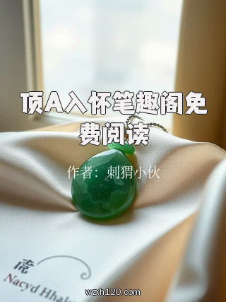 顶A入怀笔趣阁免费阅读