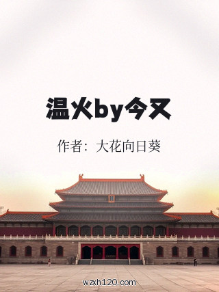 温火by今又