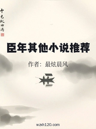 臣年其他小说推荐