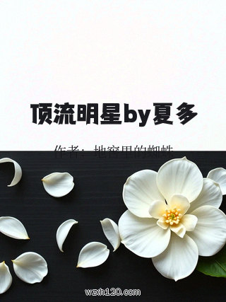 顶流明星by夏多