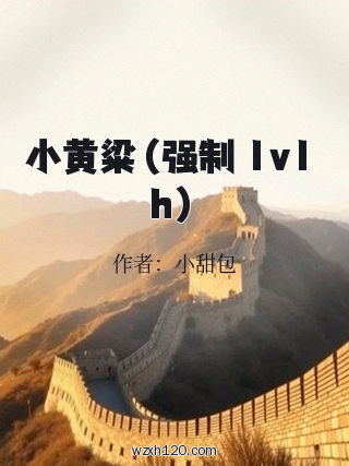 小黄粱(强制 1v1 h)