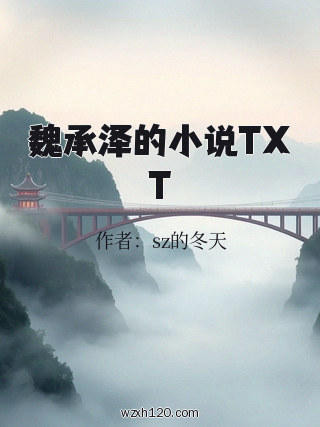 魏承泽的小说TXT