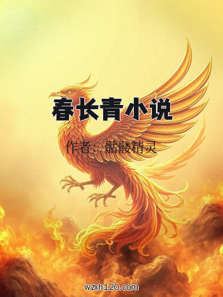 春长青小说