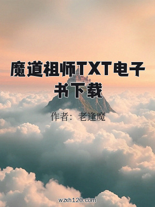 魔道祖师TXT电子书下载