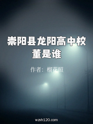 崇阳县龙阳高中校董是谁