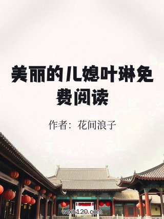 美丽的儿媳叶琳免费阅读