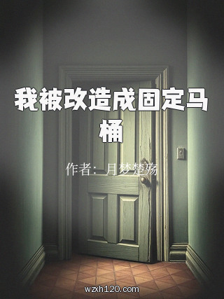我被改造成固定马桶