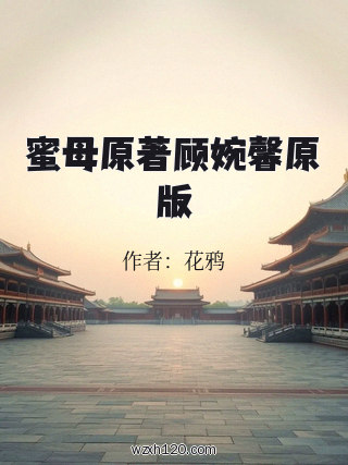 蜜母原著顾婉馨原版