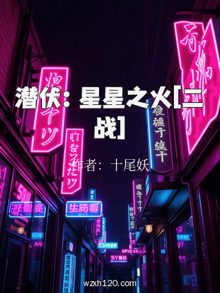 潜伏：星星之火[二战]