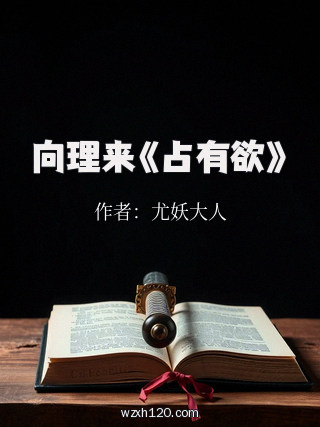 向理来《占有欲》