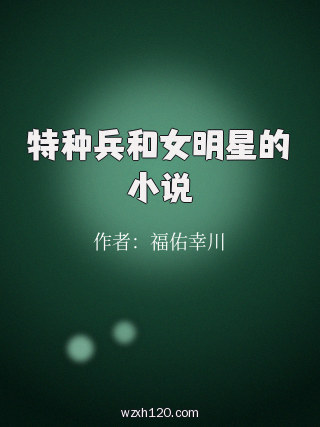 特种兵和女明星的小说