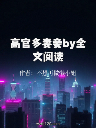 高官多妻妾by全文阅读