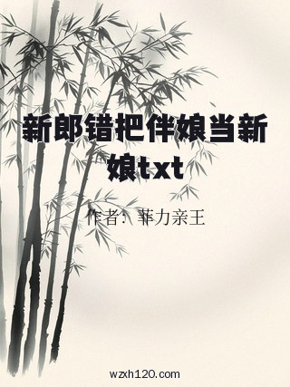 新郎错把伴娘当新娘txt