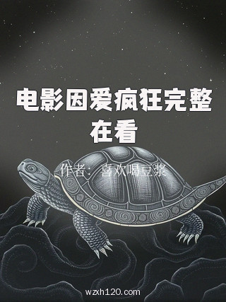 电影因爱疯狂完整在看