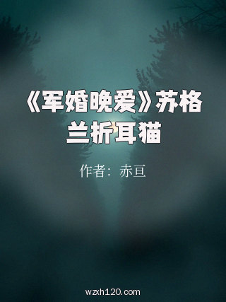《军婚晚爱》苏格兰折耳猫