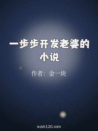 一步步开发老婆的小说
