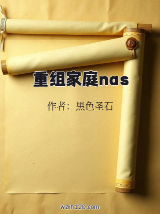 重组家庭nas