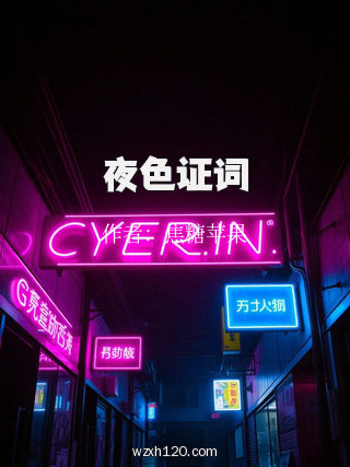 夜色证词