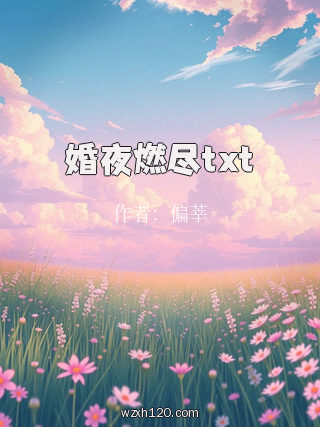 婚夜燃尽txt
