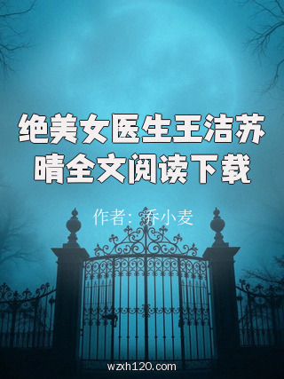 绝美女医生王洁苏晴全文阅读下载