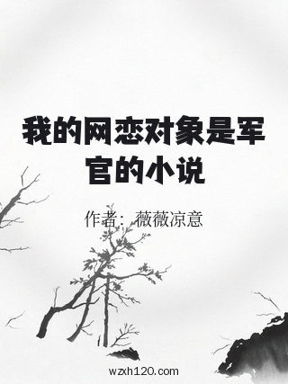 我的网恋对象是军官的小说