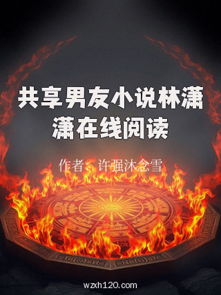 共享男友小说林潇潇在线阅读