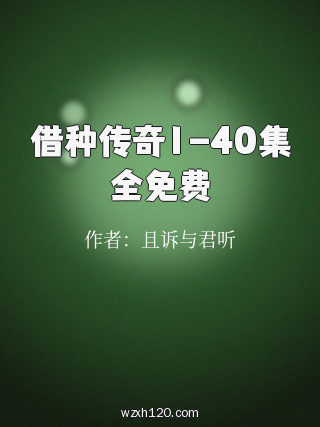 借种传奇1-40集全免费
