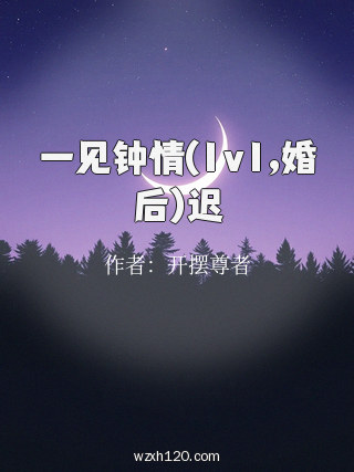 一见钟情(1v1,婚后)迟