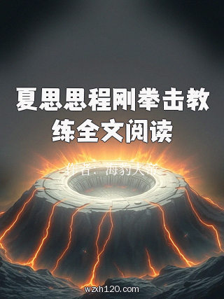夏思思程刚拳击教练全文阅读