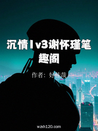 沉情1v3谢怀瑾笔趣阁