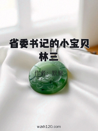 省委书记的小宝贝林三