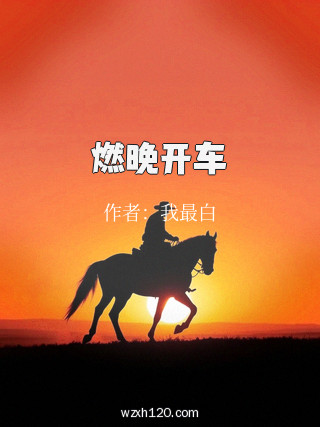 燃晚开车