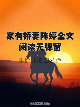 家有娇妻陈婷全文阅读无弹窗
