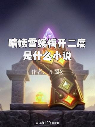 晴姨雪姨梅开二度是什么小说