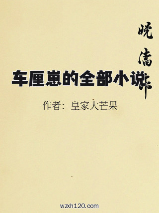 车厘崽的全部小说
