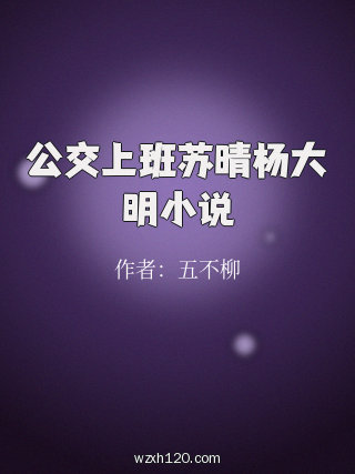 公交上班苏晴杨大明小说