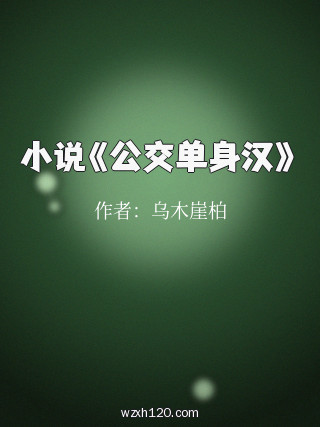小说《公交单身汉》